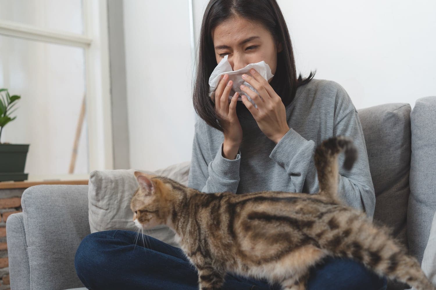 Featured_5_WAYS_TO_IMPROVE_AIR_QUALITY_ALLERGENS