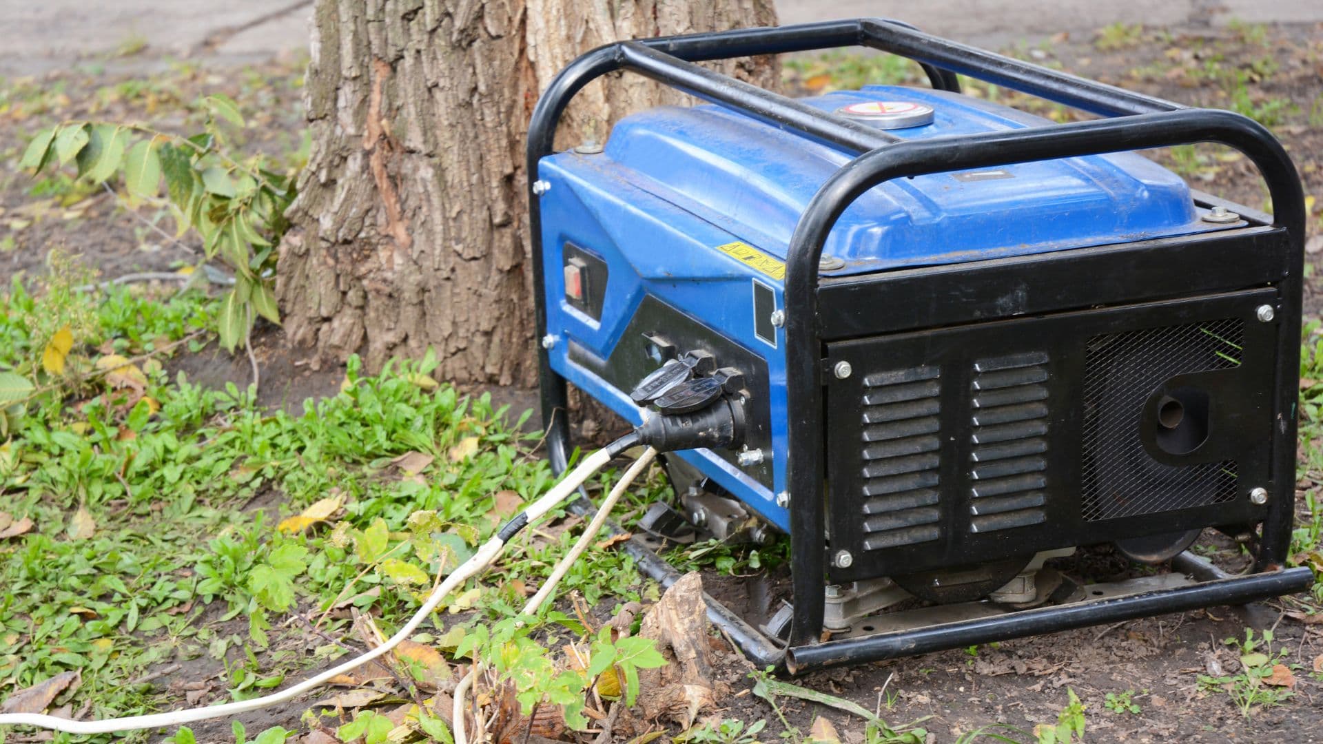 Whole House Generator